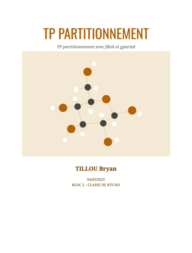 Page de garde du compte rendu : Partitionnement